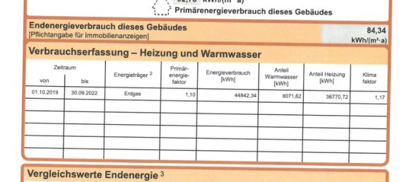 5-Zimmer Stadthaus in Mainz, Germany, Nr. 23821 21