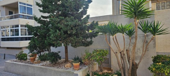 2 chambres appartement à vendre à Torreblanca, Castellon, Valencian Community, Spain № 365767 26