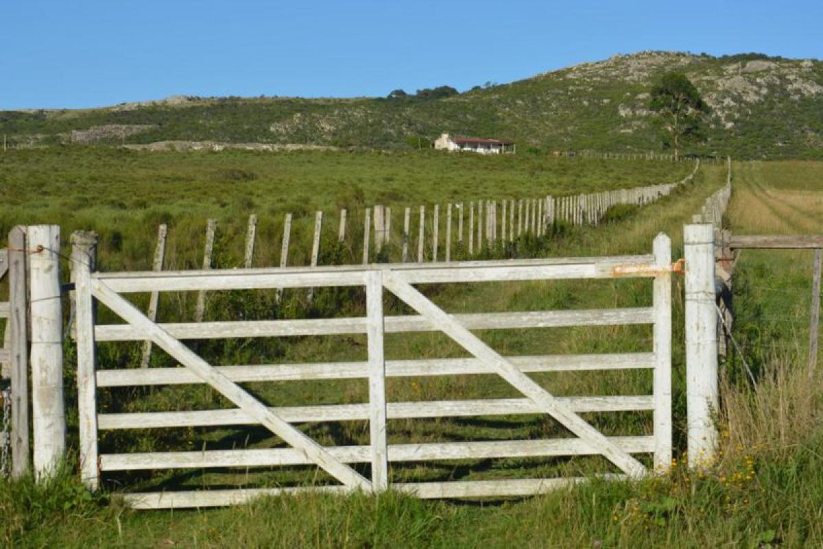 125m² Farm in Maldonado, Uruguay No. 15666