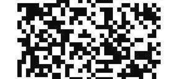 4-Zimmer Haus in Wesermarsch, Germany, Nr. 229733 33