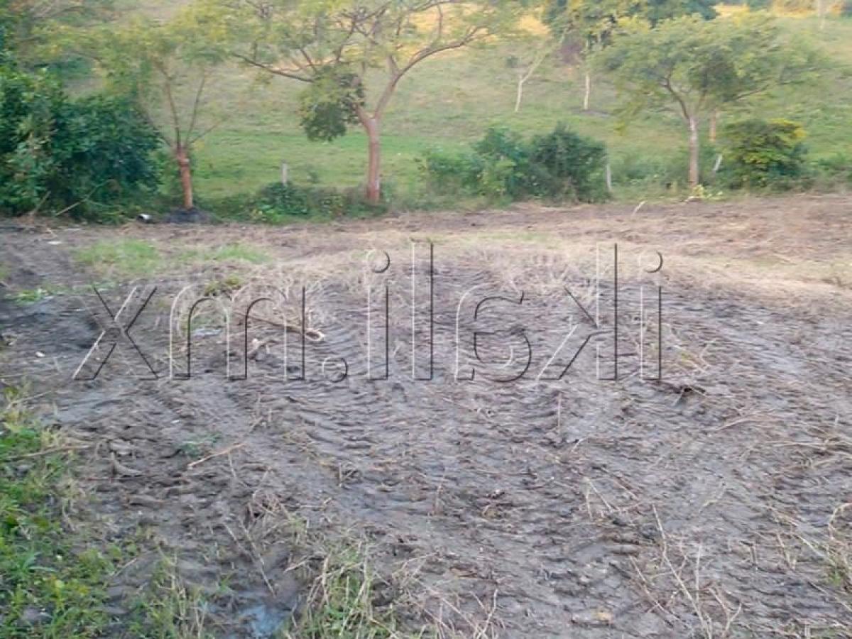 Земельный участок в Веракрус, Мексика № 202728