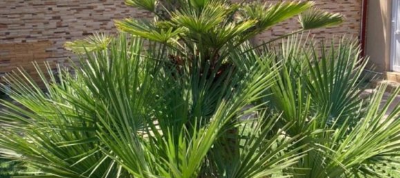 Дом с 4 спальнями в Хазарский район, Азербайджан № 1161 22