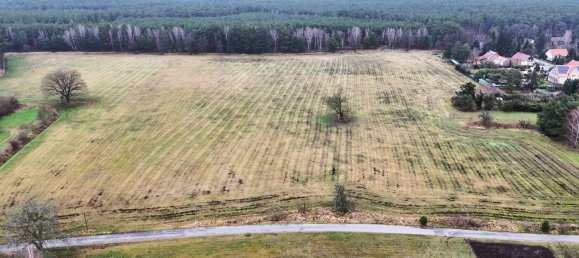 Terrain à Dahme-Spreewald, Germany No. 74434 2