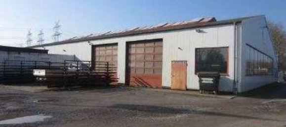 1558m² Warehouse in Steinburg, Germany No. 366944 2