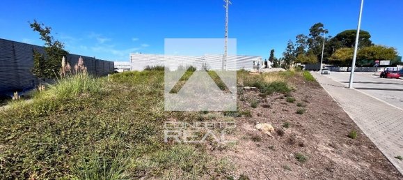 1410m² Warehouse in Vila Nova de Gaia, Portugal No. 11378 6