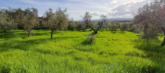 4 bedrooms Villa in Cortona, Italy No. 118784 18