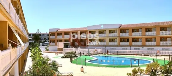1 bedroom Apartment in Arona, Spain No. 25103 8
