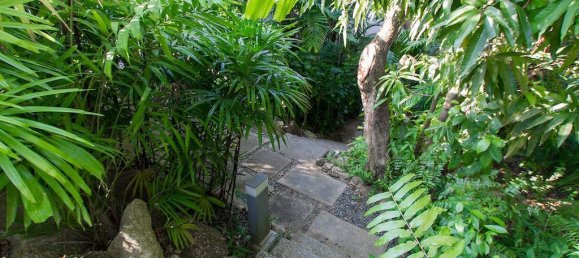 2 bedrooms Cafe / restaurant in Karon, Thailand No. 5986 6