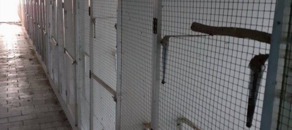 5غرفة قلاع في Vorpommern-Greifswald, Germany رقم 205296 44