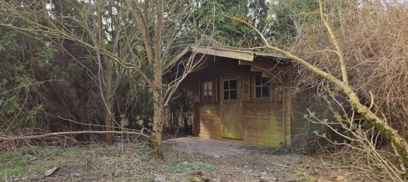 5غرفة قلاع في Vorpommern-Greifswald, Germany رقم 205296 6