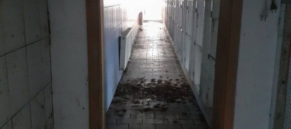 5غرفة قلاع في Vorpommern-Greifswald, Germany رقم 205296 43