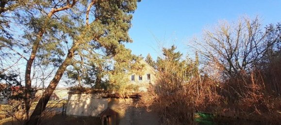 5غرفة قلاع في Vorpommern-Greifswald, Germany رقم 205296 10