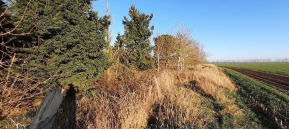 5غرفة قلاع في Vorpommern-Greifswald, Germany رقم 205296 14