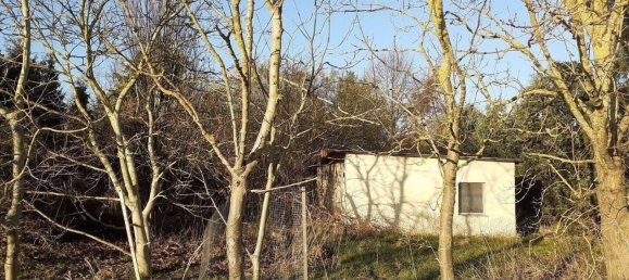 5غرفة قلاع في Vorpommern-Greifswald, Germany رقم 205296 11