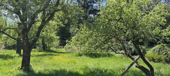 1539m² Land in Salzburg, Austria No. 249877 2