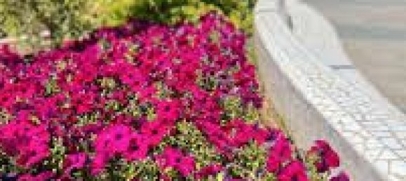 3 Schlafzimmer Wohnung in Horta-Guinardo, Spain, Nr. 178599 8