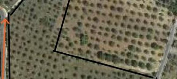  قطعة أرض في Porto Torres, Italy 13000متر مربع رقم 258396 5