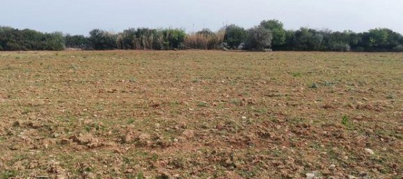  قطعة أرض في Porto Torres, Italy 13000متر مربع رقم 258396 3