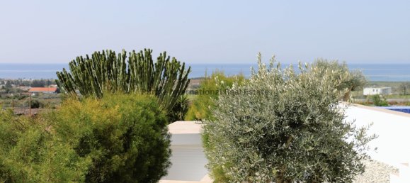 4 bedrooms Villa in Pegeia, Cyprus No. 1388 10
