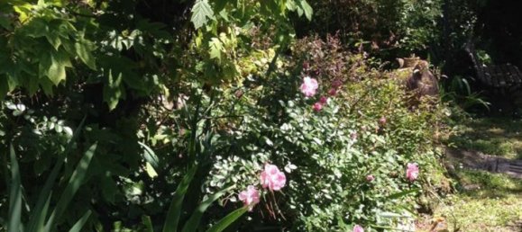 6-Zimmer Villa in Terni, Italy, Nr. 166942 16