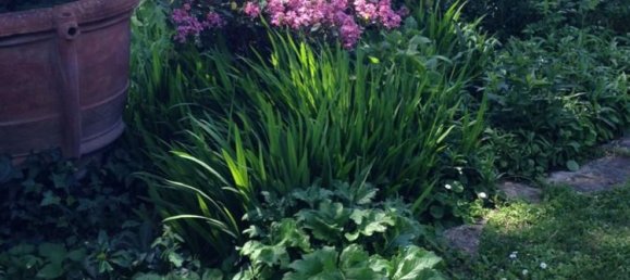 6-Zimmer Villa in Terni, Italy, Nr. 166942 6