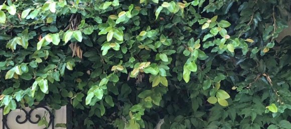 6-Zimmer Villa in Terni, Italy, Nr. 166942 22