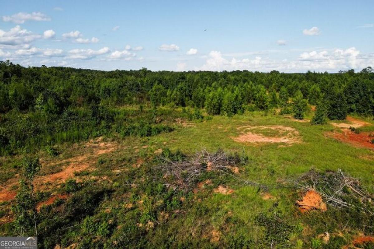  Land in Buckhead, USA No. 541555