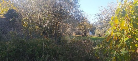 1 bedroom House in Alvaiazere, Portugal No. 21622 3