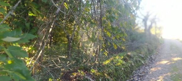 1 bedroom House in Alvaiazere, Portugal No. 21622 9