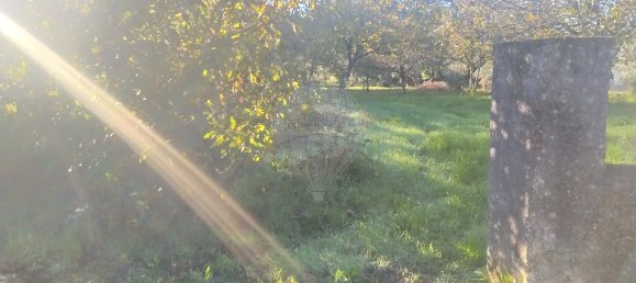 1 bedroom House in Alvaiazere, Portugal No. 21622 4