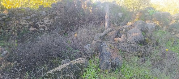 1 bedroom House in Alvaiazere, Portugal No. 21622 2