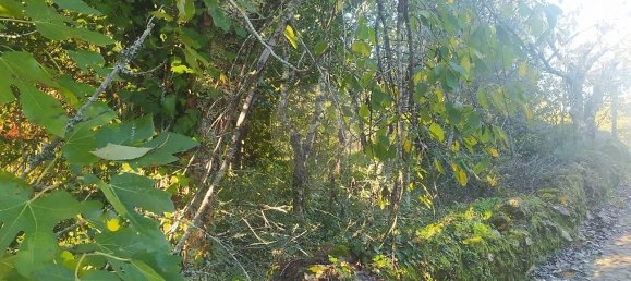 1 bedroom House in Alvaiazere, Portugal No. 21622 8