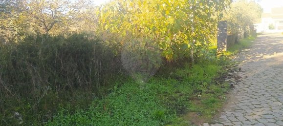 1 bedroom House in Alvaiazere, Portugal No. 21622 5