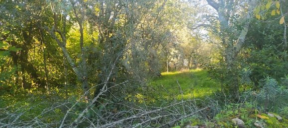 1 bedroom House in Alvaiazere, Portugal No. 21622 7