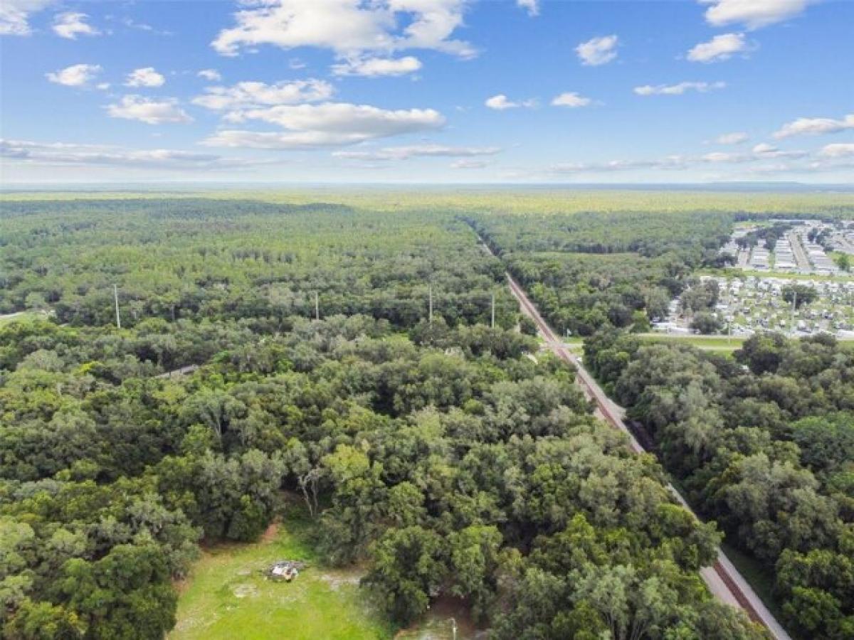  Land in Zephyrhills, USA No. 545319