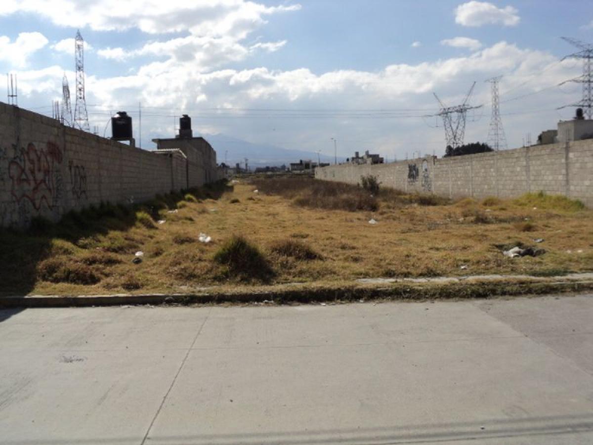  قطعة أرض في Zinacantepec, Mexico رقم 204036