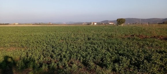 8 rooms House in Orbetello, Italy No. 92747 13