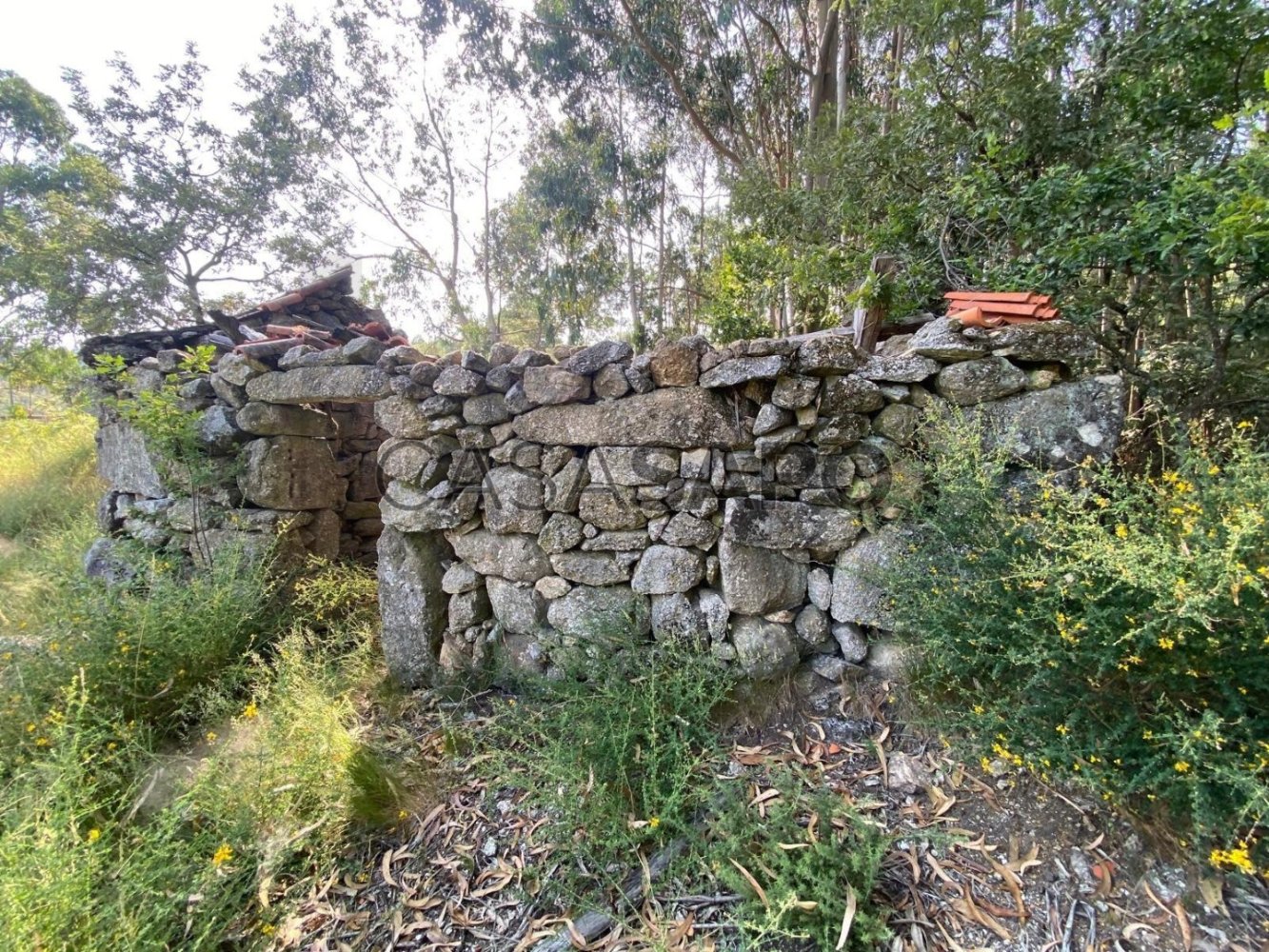 4 bedrooms House in Celorico de Basto, Portugal No. 325986