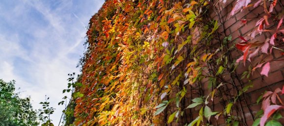 Вилла с 5 спальнями в Мюнстер, Германия № 41156 3