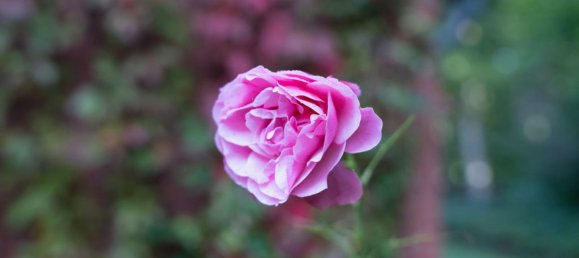 Вилла с 5 спальнями в Мюнстер, Германия № 41156 10