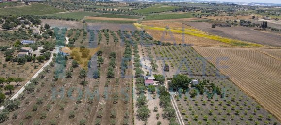 5 rooms Villa in Noto, Italy No. 142984 17