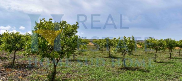 5 rooms Villa in Noto, Italy No. 142984 3