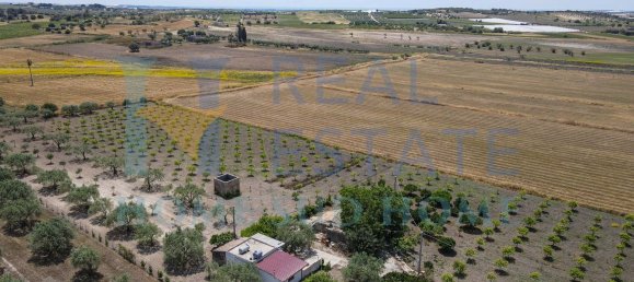 5 rooms Villa in Noto, Italy No. 142984 11