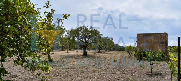 5 rooms Villa in Noto, Italy No. 142984 6