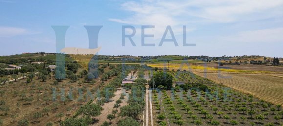 5 rooms Villa in Noto, Italy No. 142984 7