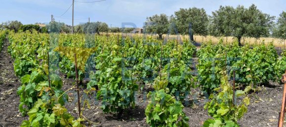 5 rooms Villa in Noto, Italy No. 142984 20