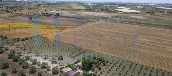 5 rooms Villa in Noto, Italy No. 142984 16