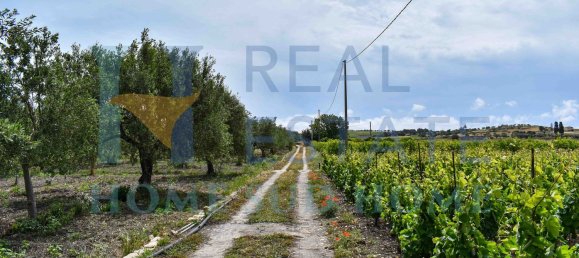 5 rooms Villa in Noto, Italy No. 142984 21