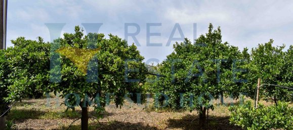 5 rooms Villa in Noto, Italy No. 142984 25