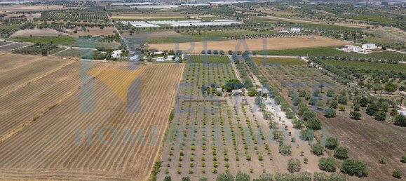 5 rooms Villa in Noto, Italy No. 142984 14